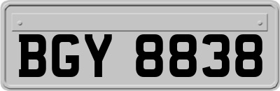 BGY8838