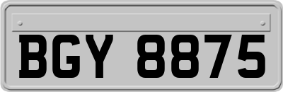 BGY8875