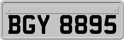 BGY8895
