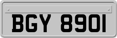 BGY8901