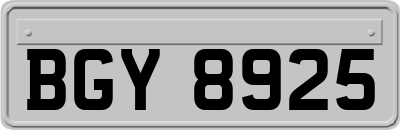 BGY8925