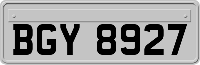 BGY8927