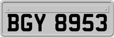 BGY8953