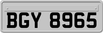 BGY8965