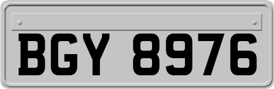 BGY8976