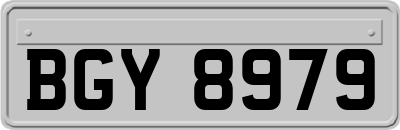 BGY8979
