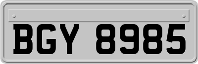 BGY8985