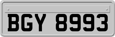 BGY8993