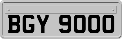 BGY9000