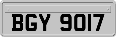 BGY9017