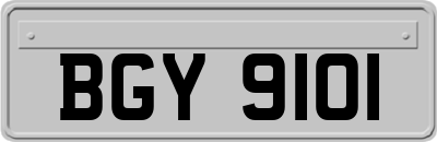 BGY9101