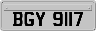 BGY9117