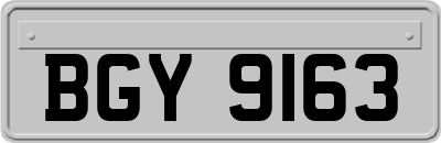 BGY9163