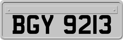BGY9213