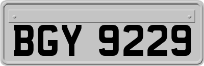 BGY9229