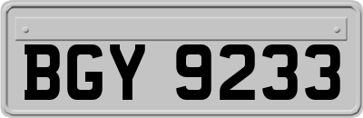 BGY9233