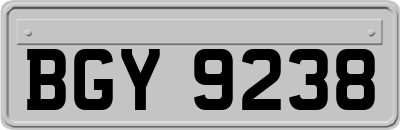 BGY9238