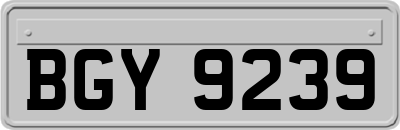 BGY9239
