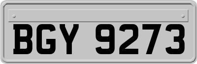 BGY9273
