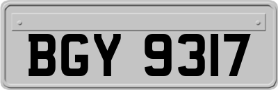 BGY9317