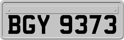 BGY9373