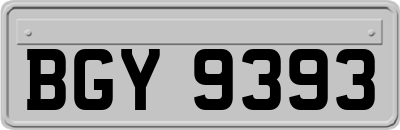 BGY9393