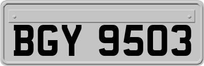 BGY9503