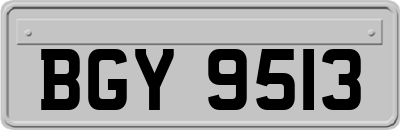 BGY9513