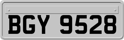BGY9528