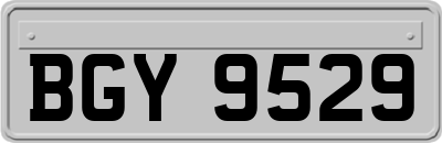 BGY9529