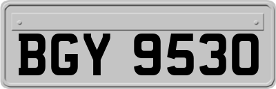 BGY9530