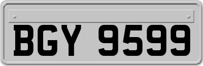 BGY9599
