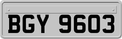 BGY9603