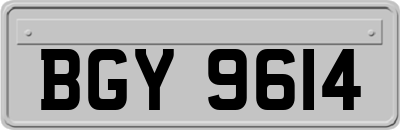 BGY9614