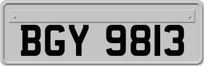 BGY9813