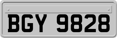 BGY9828