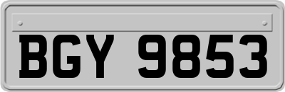 BGY9853