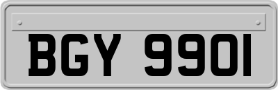 BGY9901