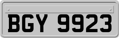 BGY9923