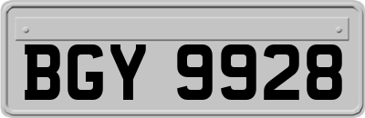 BGY9928