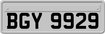 BGY9929