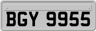 BGY9955
