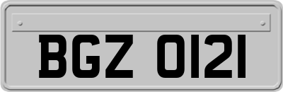 BGZ0121