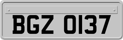 BGZ0137