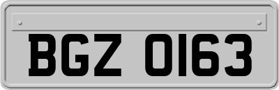 BGZ0163