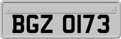 BGZ0173