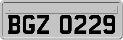 BGZ0229