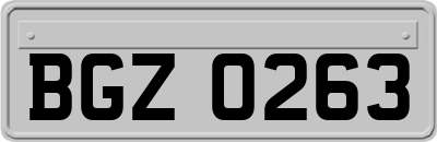 BGZ0263