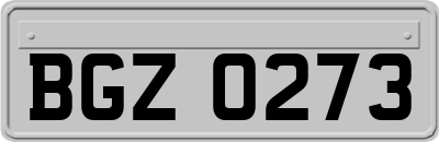 BGZ0273