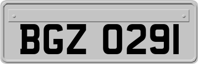 BGZ0291